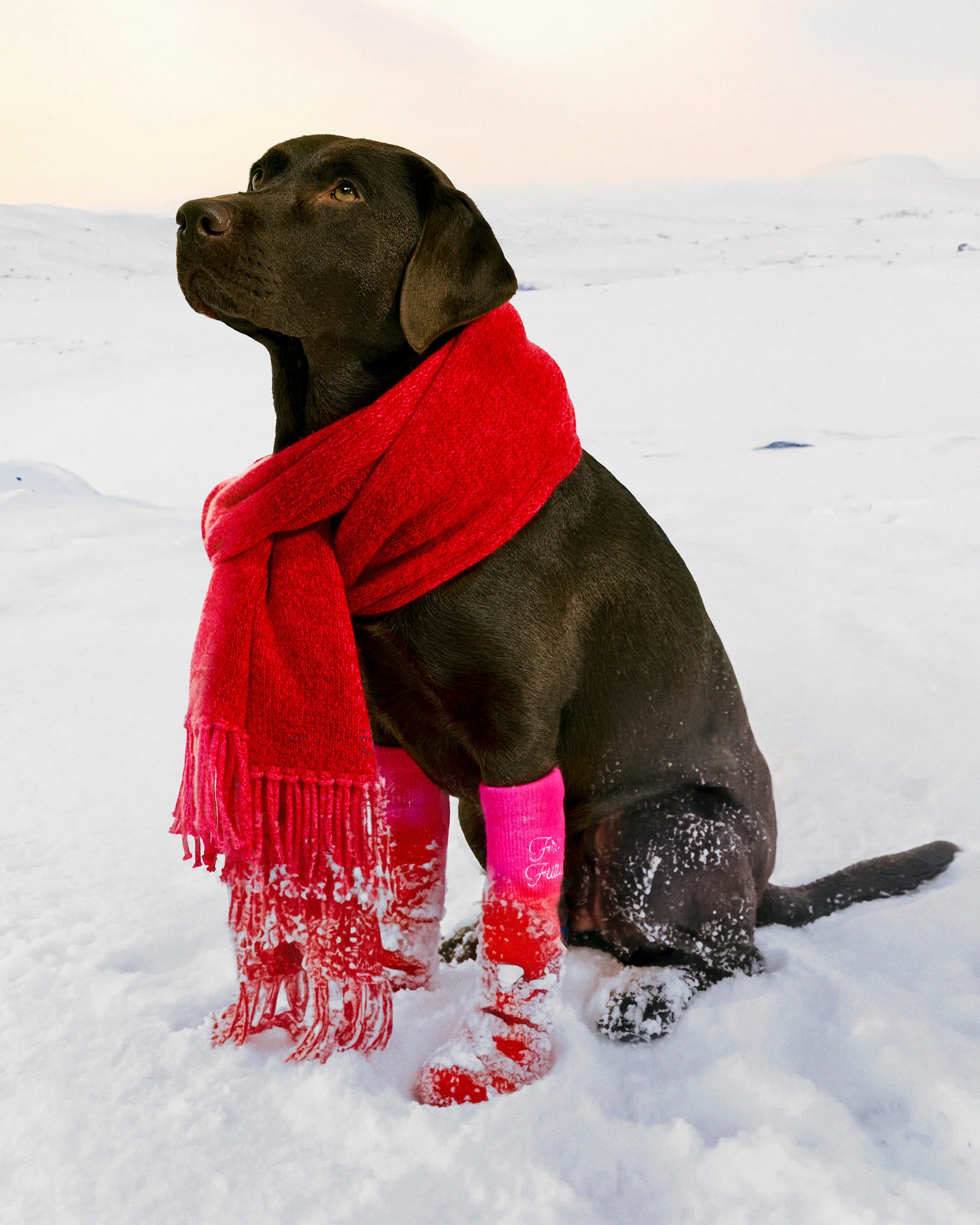 Fringed Scarf (H25 / ACCESSOIRES / Scarlett Passio)