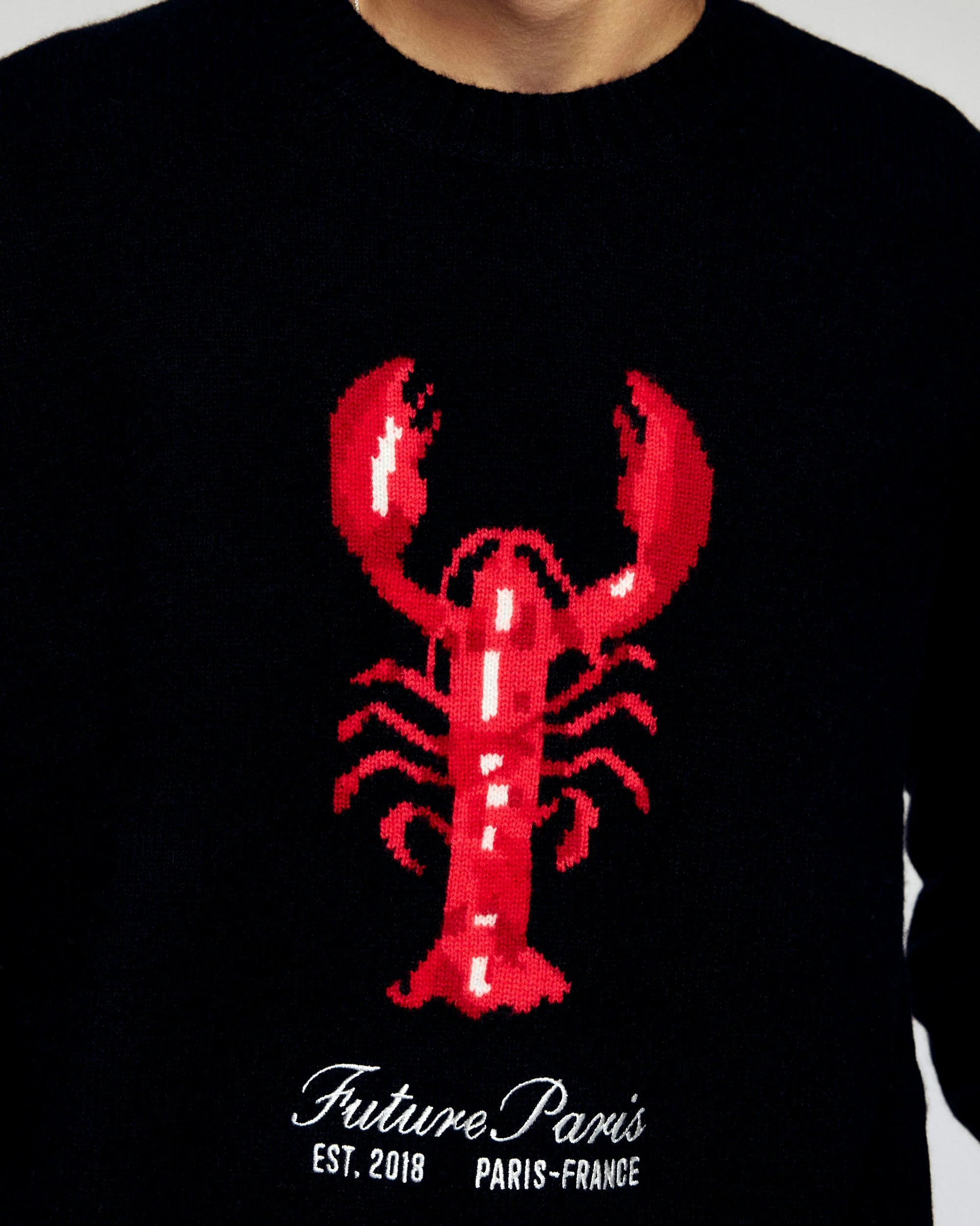 Crewneck Sweater (H25 / MEN / Black) - Image 2